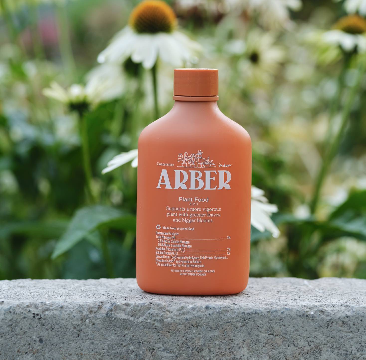Arber Plant Care Review (2023) The Quality Edit